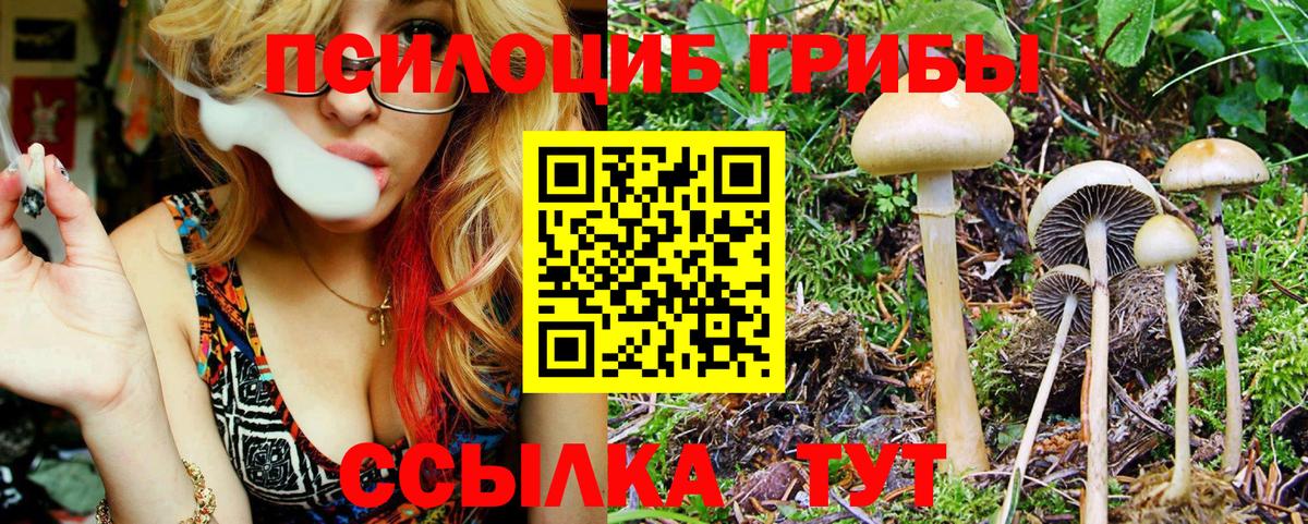 Галлюциногенные грибы Psilocybine cubensis Екатеринбург