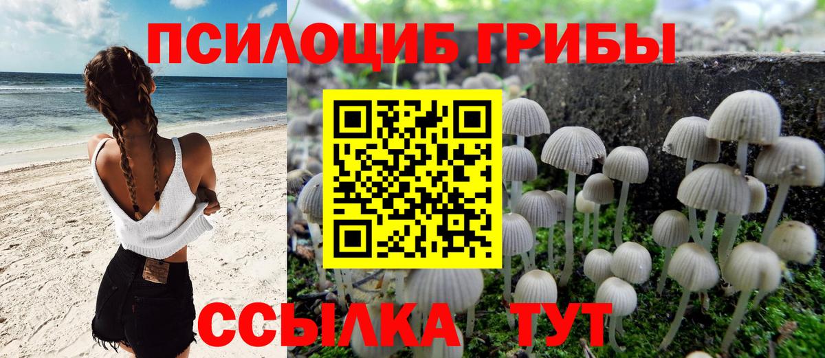 Псилоцибиновые грибы Cubensis  Вход с VPN  Екатеринбург 